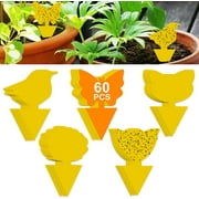 60 Pack Plant Sticky Trap Fungus Gnat Traps Killer for Indoor and Outdoor Bug, Fruit Fly Sticky Strips Protect Houseplant, Non-Toxic and Odorless